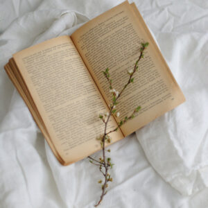 Vintage Book